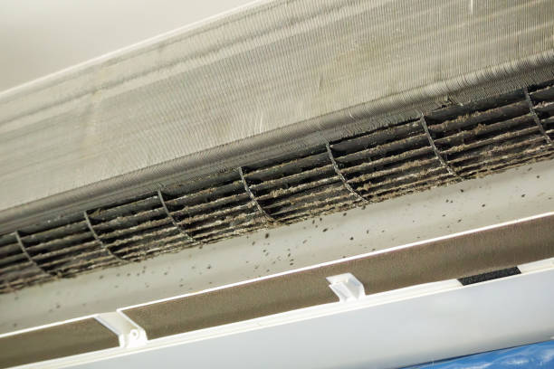 Best Dryer Vent Cleaning Services  in Center, CO